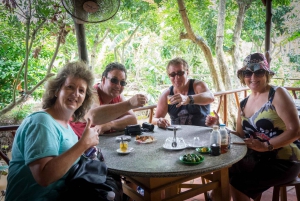 Upper Mekong River: Day Tour
