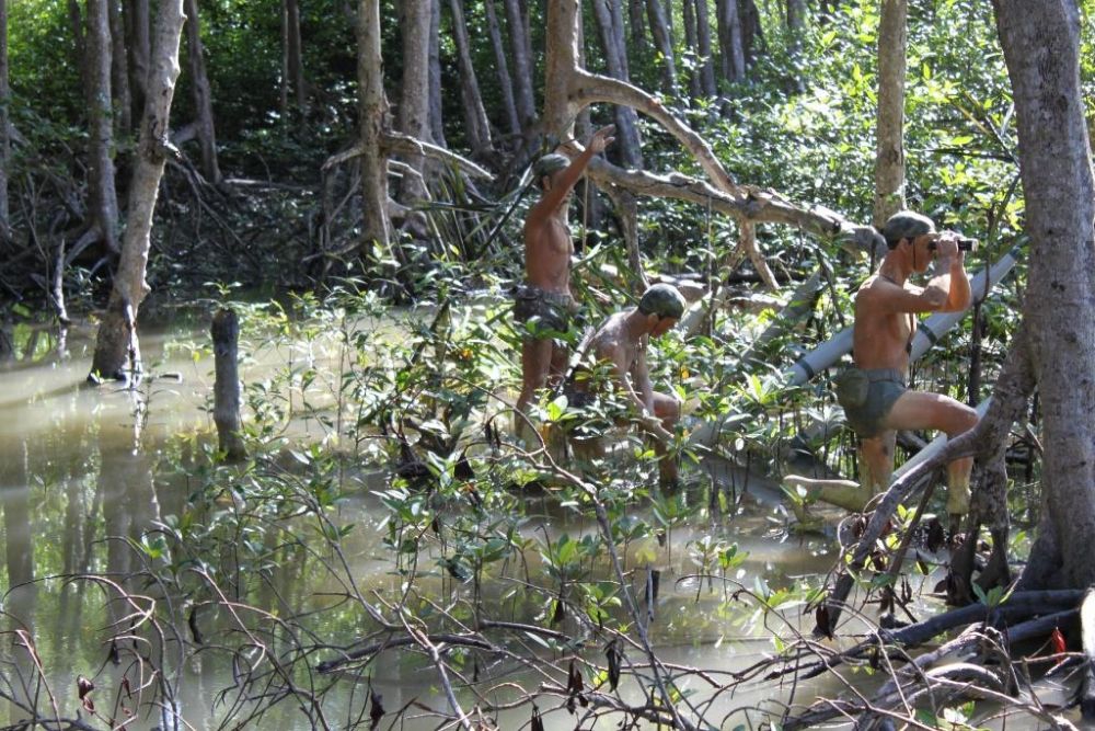 Vam Sat Salt-Marsh Forest Ecological Tourist Cente