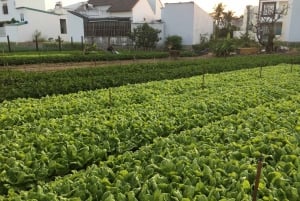 Viet Garden Cooking Class (Countryside and Market tour)