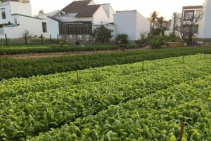 Viet Garden matlagningskurs (Landsbygds- och marknadstur)