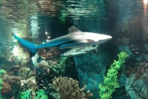 Vietnam Nha Trang one-day tour