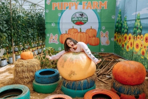 Da Lat: Puppy Farm Ticket