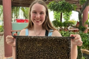 VIP Mekong Delta Full Day Adventure Cycling & Kayaking