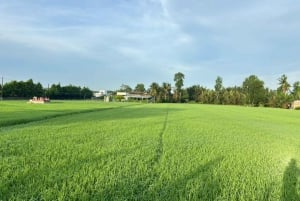 VIP Mekong Delta Full Day Adventure Cycling & Kayaking