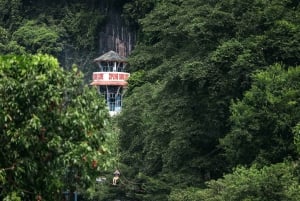Vip Tour Phong Nha: Paradise Cave & Dark Cave Private Tour