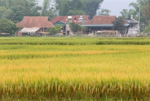 Bezoek alle plaatsen in Dien Bien Phu 1 dag - Privétour met de auto