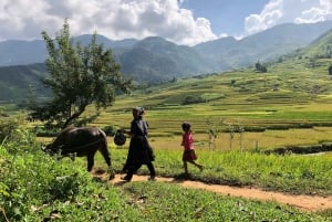 Besuche alle Orte in Sapa 1 Tag - private Tour mit dem Auto