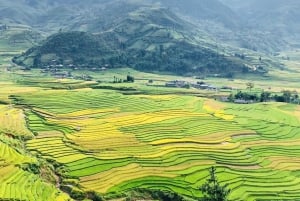 Visite todos os lugares em Sapa de 1 dia - tour particular de carro