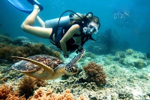 Vieraile Chamin saarilla & snorklausta & sukellusta varten