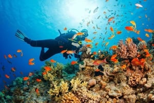 Vieraile Chamin saarilla & snorklausta & sukellusta varten