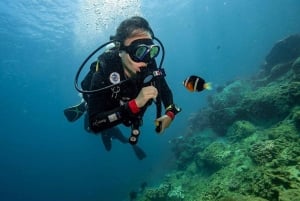 Vieraile Chamin saarilla & snorklausta & sukellusta varten