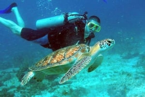 Vieraile Chamin saarilla & snorklausta & sukellusta varten