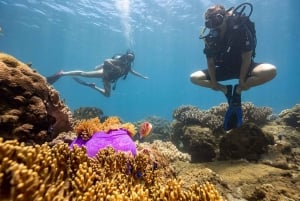 Vieraile Chamin saarilla & snorklausta & sukellusta varten