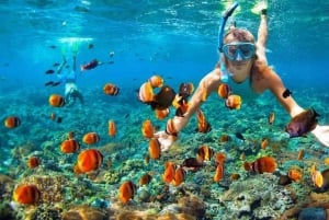 Vieraile Chamin saarilla & snorklausta & sukellusta varten