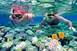 Vieraile Chamin saarilla & snorklausta & sukellusta varten