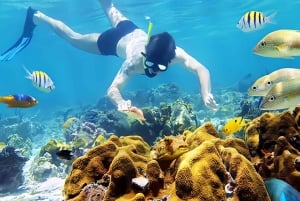 Vieraile Chamin saarilla & snorklausta & sukellusta varten