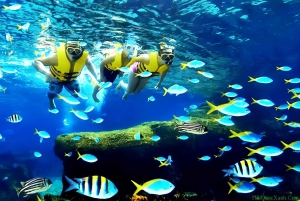 Vieraile Chamin saarilla & snorklausta & sukellusta varten