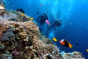 Vieraile Chamin saarilla & snorklausta & sukellusta varten