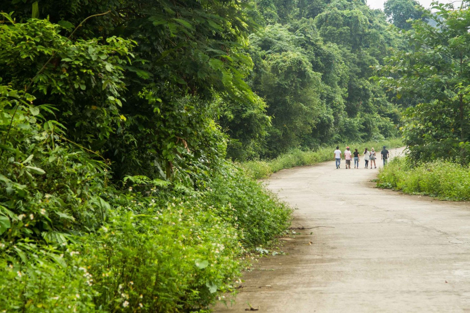 Visit Cuc Phuong National Park: Day Trip From Ha Noi