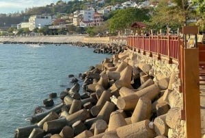 Privat utflukt til Vung Tau by fra Phu My havn
