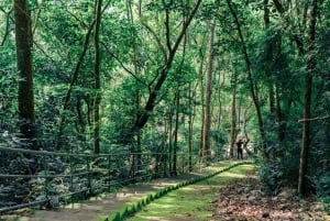 Privat utflukt til Vung Tau by fra Phu My havn