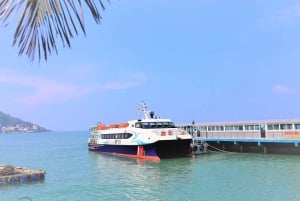 Privat utflukt til Vung Tau by fra Phu My havn