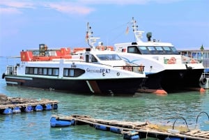 Vung Tau: GreenlinesDP Highspeed Ferry from Ho Chi Minh city