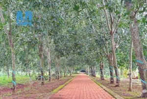 Vung Tau/Ho Chi Minh: Nui Dat, Long Tan, Long Phuocin tunneli