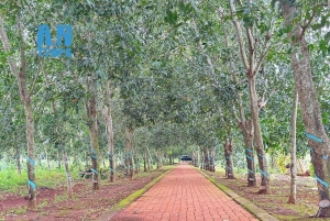 Vung Tau/Ho Chi Minh: túnel de Nui Dat, Long Tan, Long Phuoc