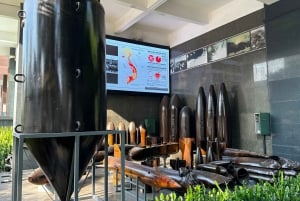 無料E-Sim戦争証跡博物館＆独立記念宮殿ツアー