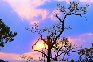 Utforsk Don Village og Yok Don nasjonalpark