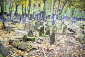 Warsaw: 3-Hour Car Tour of Jewish Warsaw