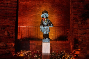 5 часов: Королевский замок, Старый город и парк Лазенки/вкл. трансфер