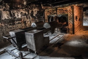 Auschwitz-Birkenau: Entrance Ticket and Live Tour Guide