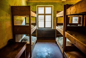 Auschwitz-Birkenau: Entrance Ticket and Live Tour Guide
