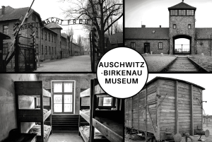 Auschwitz-Birkenau Guided Tour & Transfer from Krakow