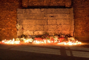 Auschwitz-Birkenau Guided Tour & Transfer from Krakow