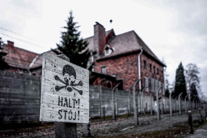 Auschwitz-Birkenau Guided Tour & Transfer from Krakow
