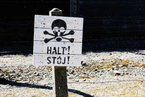Auschwitz-Birkenau Guided Tour & Transfer from Krakow