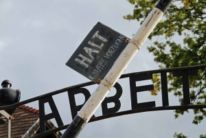 Auschwitz-Birkenau Guided Tour & Transfer from Krakow
