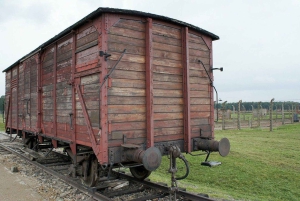 Auschwitz-Birkenau Guided Tour & Transfer from Krakow