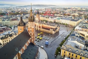 From Warsaw: Auschwitz and Krakow Low Cost Tour with Pickup