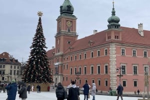 Från Krakow: Dagsutflykt med sightseeing i Warszawa med transfer