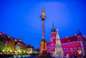 Из Кракова: однодневная поездка в Варшаву на фургоне