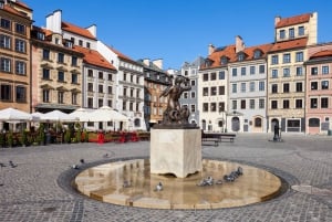 Warsaw: Full-Day Private Tour from Poznan