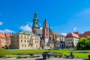 From Warsaw: 3 or 6-Hour Krakow Tour by Private Car