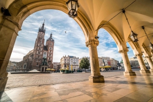 From Warsaw: Auschwitz and Krakow Low Cost Tour with Pickup