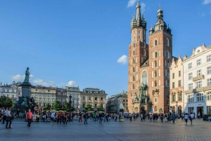 Warsaw to Auschwitz and Krakow Old Town Full-Day Trip by Car