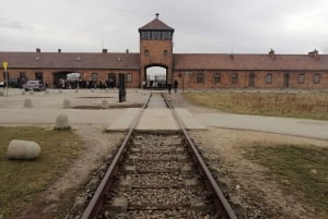 Varsova: Krakovan kiertoajelu autolla: Auschwitz-Birkenau ja Krakova