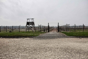 Från Warszawa: Auschwitz-Birkenau guidad tur med snabbtåg